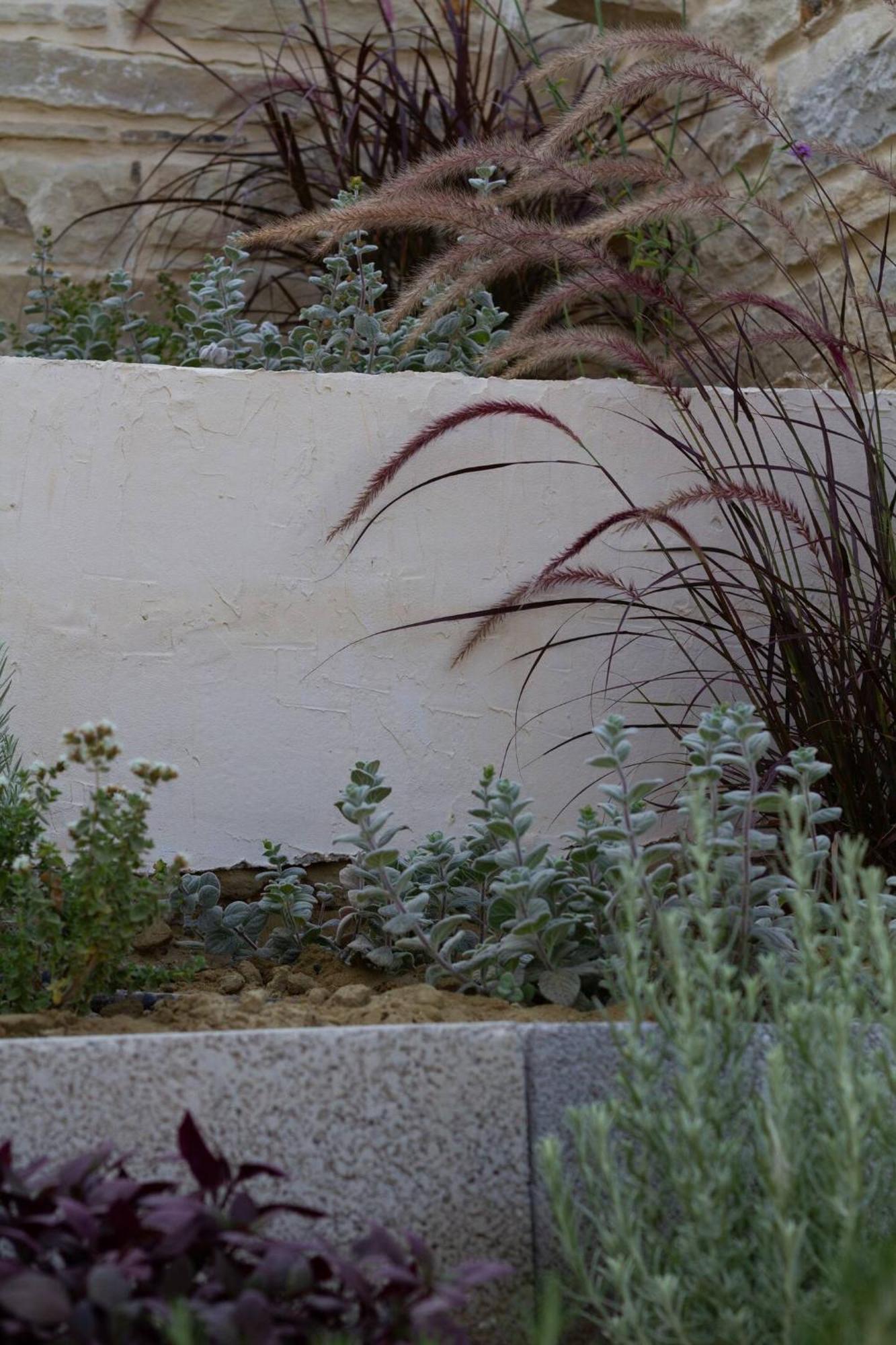 Maistro Suites With Pool, Matala Kültér fotó